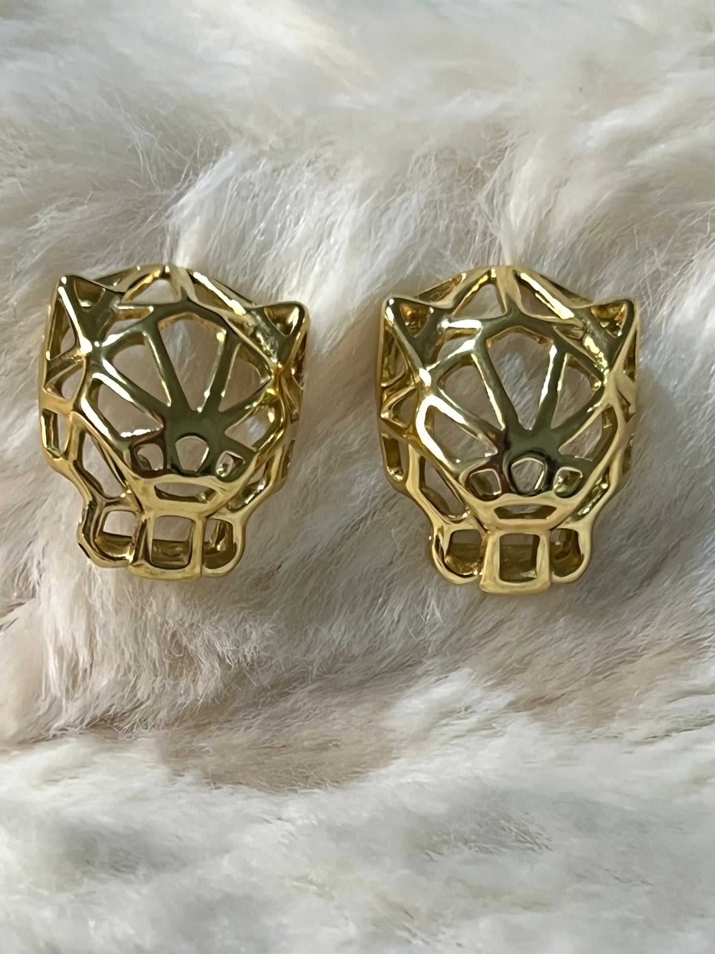 BOUCLES D’OR. JAGUAR