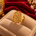 Bague bab El Mansour